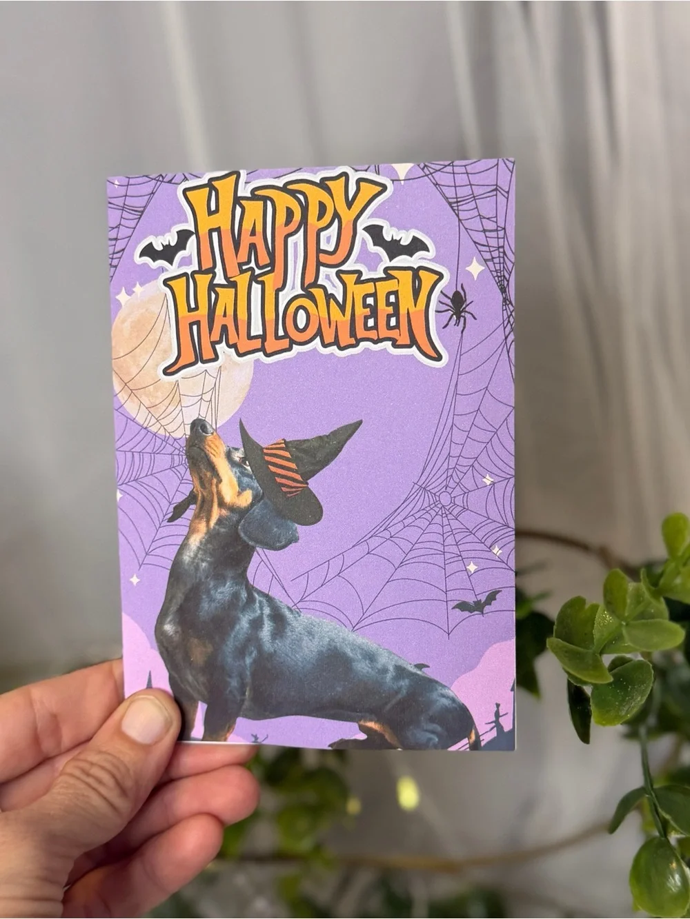N/A celebrate halloween